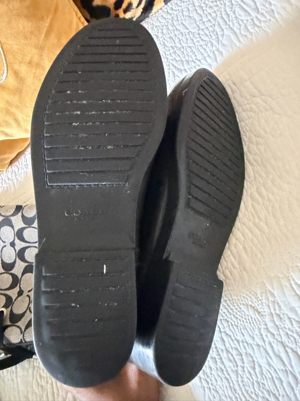 Coach Black Chelsea Boots with Taupe & Black Signature Tights - Picture 5 of 5